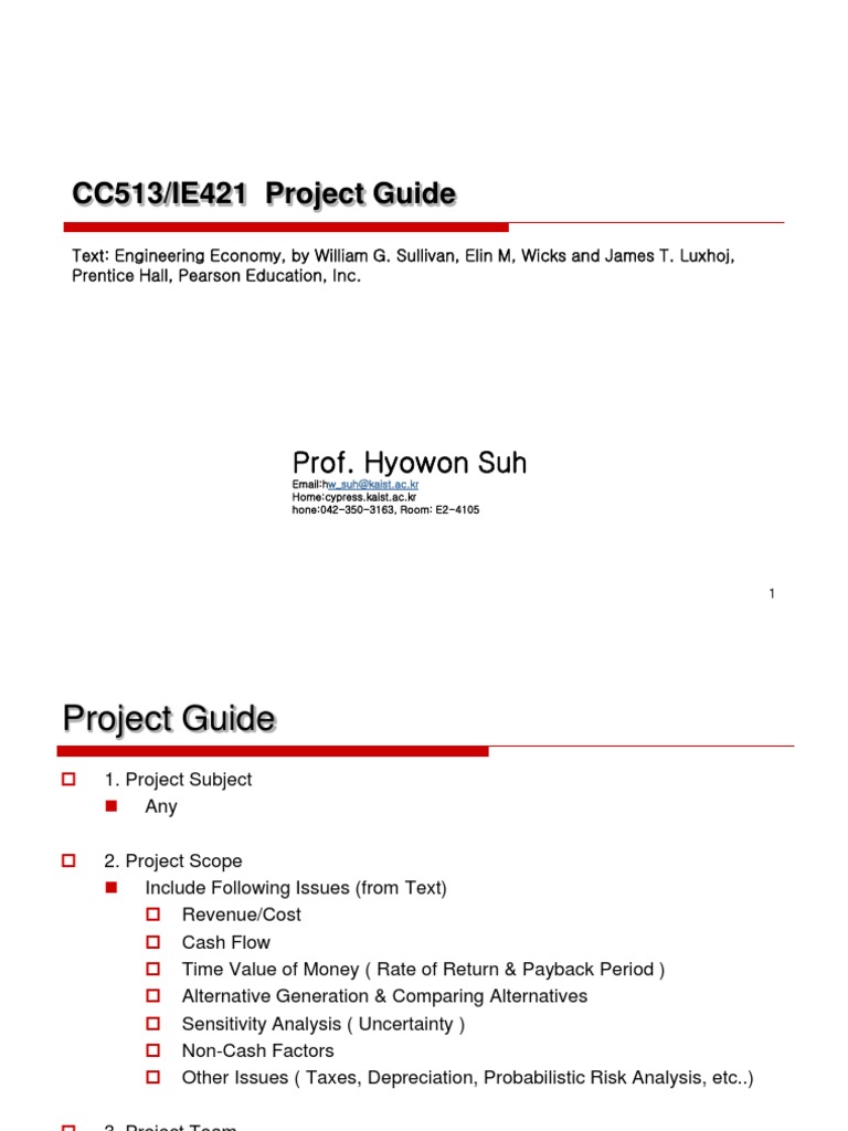 CC513IE421 2017 S - Project Guide | PDF | Economies | Business