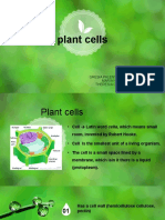 Plant cell structure and functions