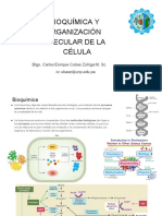 01.+BIOQUÍMICA+Y+ORGANIZACIÓN+MOLECULAR+DE+LA+CÉLULA-+es_compressed+(1).en.es.pdf