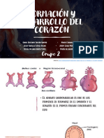 Formación Y Desarrollo Del Corazón: Grupo 2