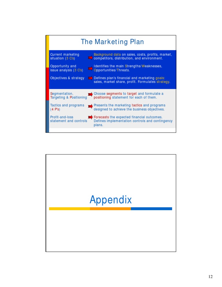 Comprehensive Marketing Plan Overview | PDF