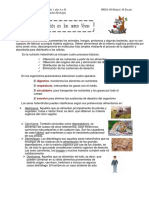 Actividades Virtuales de Cs Naturales de 1 Año A y B Ipem 169 Escuti Heterotrofos