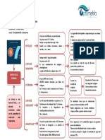 CAPAS DE LA CÓRNEA (1).pdf