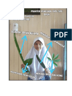 Amalia Agustin - perhatikan contoh  gambar  bentuk bentuk  daun-digabungkan.pdf