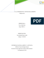 Introduccion A La Problematica y Estudio Del Ambiente