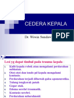 cedera_kepala