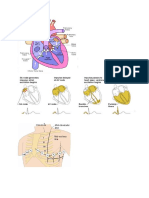 ekg print.docx