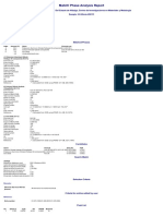 h2 IDENTIFICADO - Report PDF