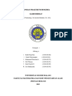 LAPORAN_PRAKTIKUM_BIOKIMIA_KARBOHIDRAT_D.docx