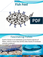 fish.pdf