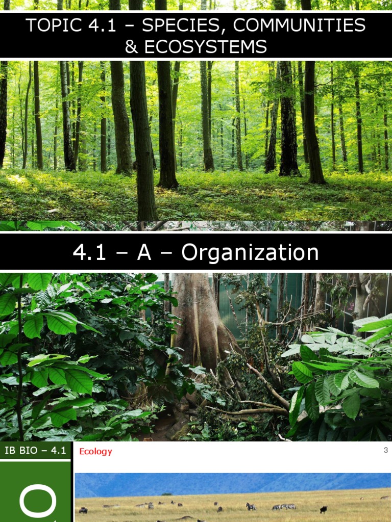 Species and Ecosystem Interactions | PDF | Hybrid (Biology) | Ecosystem