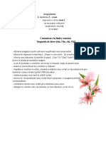 Comunicare În Limba Română:: Grupurile de Litere (Che, Che, Chi, Chi)