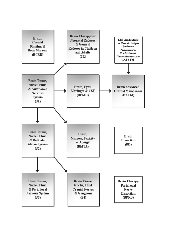 Brain Flowchart Overview | PDF | Computers