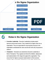 Roles in Six Sigma Organization: Executive Leadership