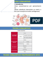 Cópia de Tecido Conjuntivo (1)