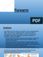 forearm-150721101353-lva1-app6891.pdf