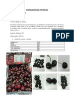 Informe de muestras por variedad de cerezas