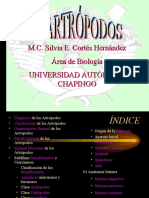 artropodos.pps