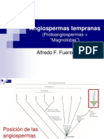 Clase 12 Relac Filog Angiosp Tempranas