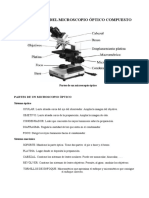 Microscop i o