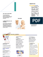 Folleto Importancia de La Vacunación - 2 PDF