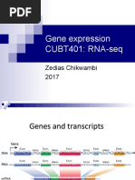 Gene Expression RNA Sequence