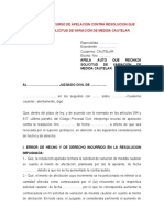 20.modelo de Recurso de Apelacion Contra Resolucion Que Rechaza Solicitud de Variacion de Medida