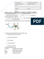 Unitat 3 Sistema Nervios Examendocx