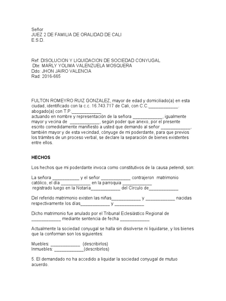 Minuta Demanda DE LIQUIDACION SOCIEDAD CONYUGAL | PDF | Propiedad de la  comunidad | Demanda judicial