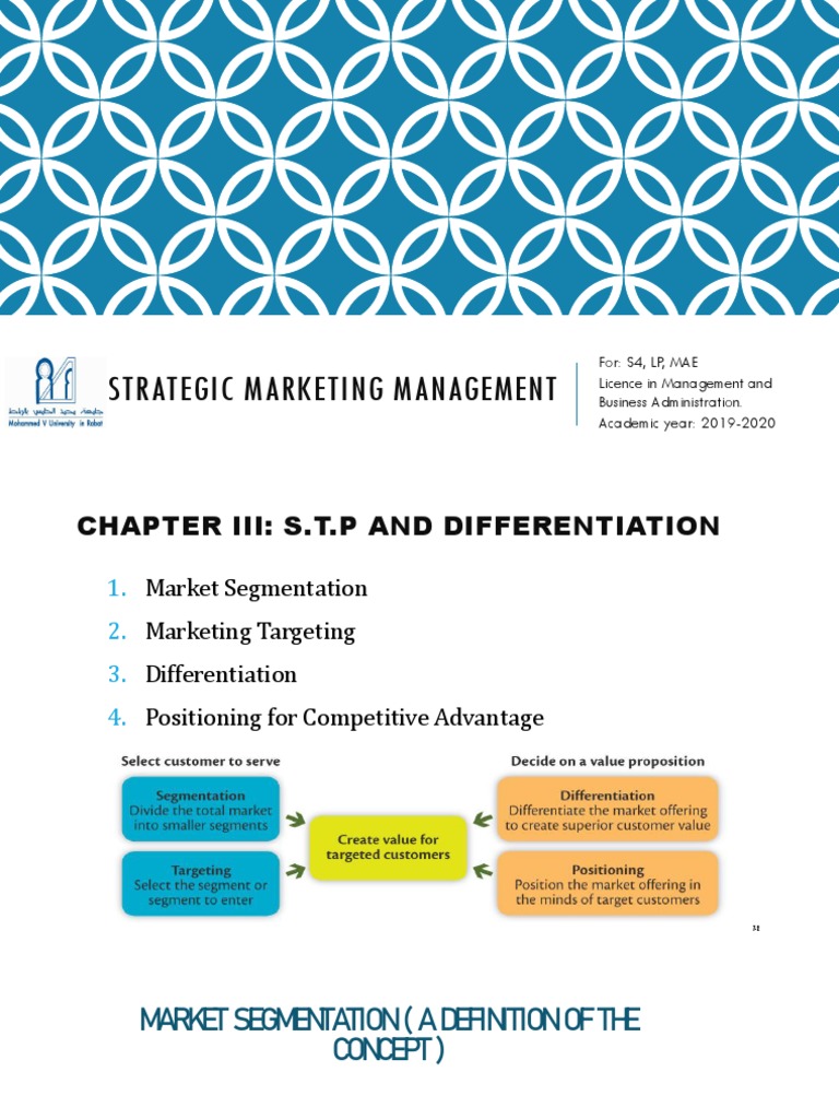 Market Segmentation Strategies Explained | PDF | Finance & Money ...