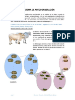 Sistema de Autoponderación