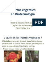 Injertos en Biotecnologia PDF