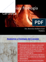 Anatomía y Fisiología Cardiaca