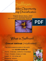 SaffronGoldOppNov72016.pdf