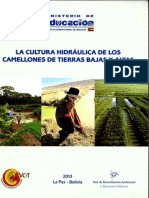 8.CulturaHidraulicaCamellonesTierrasBajas