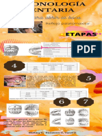 CRONOLOGÍA equina.pdf