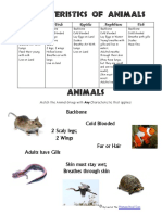 Characteristics of Animals: Mammals Birds Reptiles Amphibians Fish