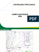 246997541-Campo-San-Roque-Bolivia.pdf