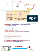 BIOENERGETICA