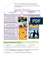 Relaciones Entre Los Factores Bióticos Del Ecosistema