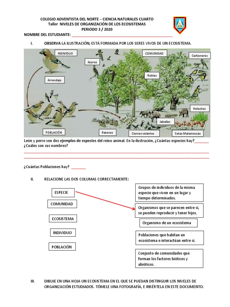 Taller NIVELES DE ORGANIZACIÓN DE LOS ECOSISTEMAS | PDF | Ecosistema ...