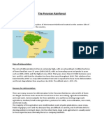 The Peruvian Rainforest Case Study