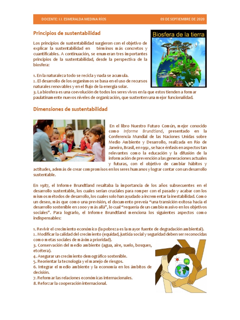 Dimensiones y principios de sustentabilidad | PDF | Sustentabilidad ...