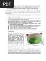 LINEAMIENTOS PARA EL DESARROLLO DEL LABORATORIO 1