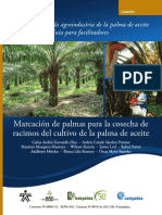GM Marcacion de Palmas para La Cosecha de Racimos Del Cultivo de La Palma de Aceite