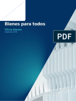 D0 04 Otros Bienes Inventario PDF