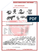 Animales domésticos y salvajes