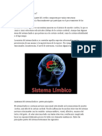 El sistema límbico: funciones y partes del cerebro emocional