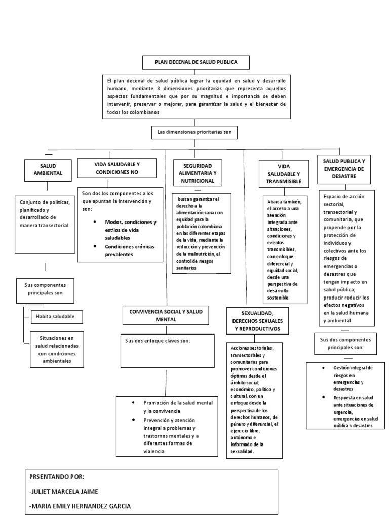 Plan Decenal De Salud Publica Pdf Salud Pública Igualdad Social