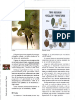 TIPO DE CACAO.pdf